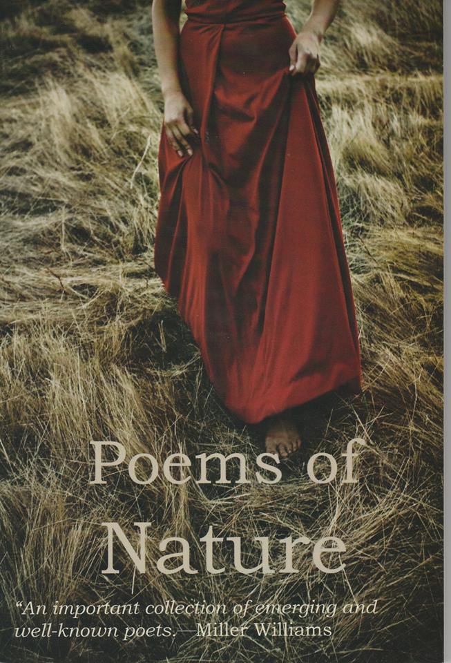 This image has an empty alt attribute; its file name is swe-aye-1.jpg